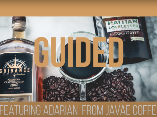 Guided Series Javae Coffee